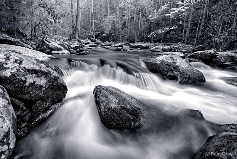 Tremont Rapids - B+W