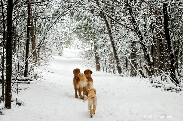 Winter Wonderland Walk 