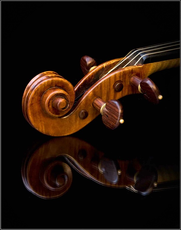 Strad's Scroll - ID: 7510599 © Endre Balogh