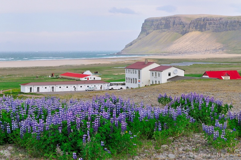 Breidavik, Iceland