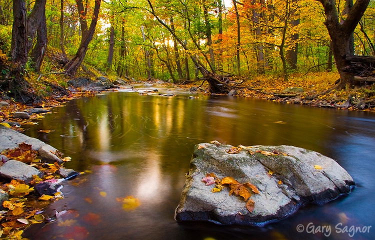 Fall, Brandywine Creek