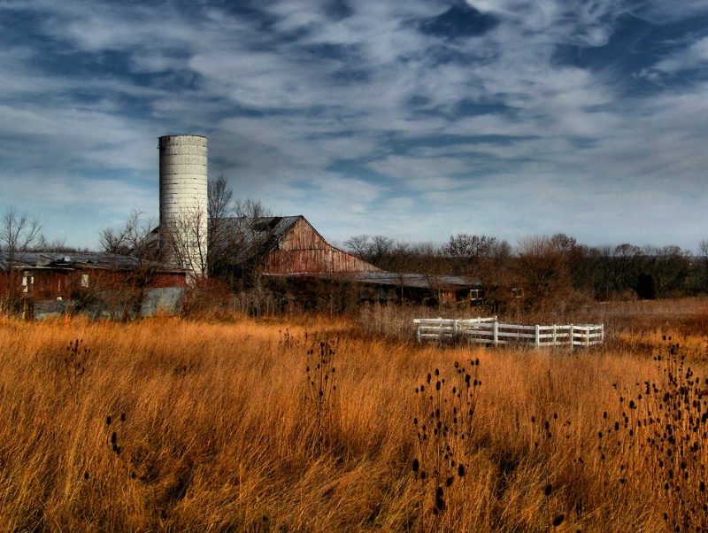 Thanksgiving Barn