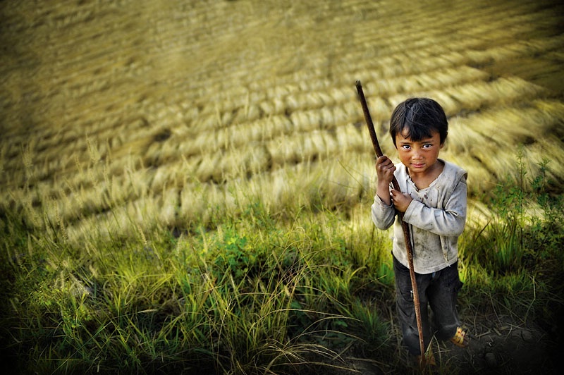 little farmer