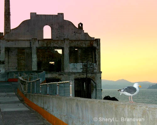 Bird Island, Alcatraz