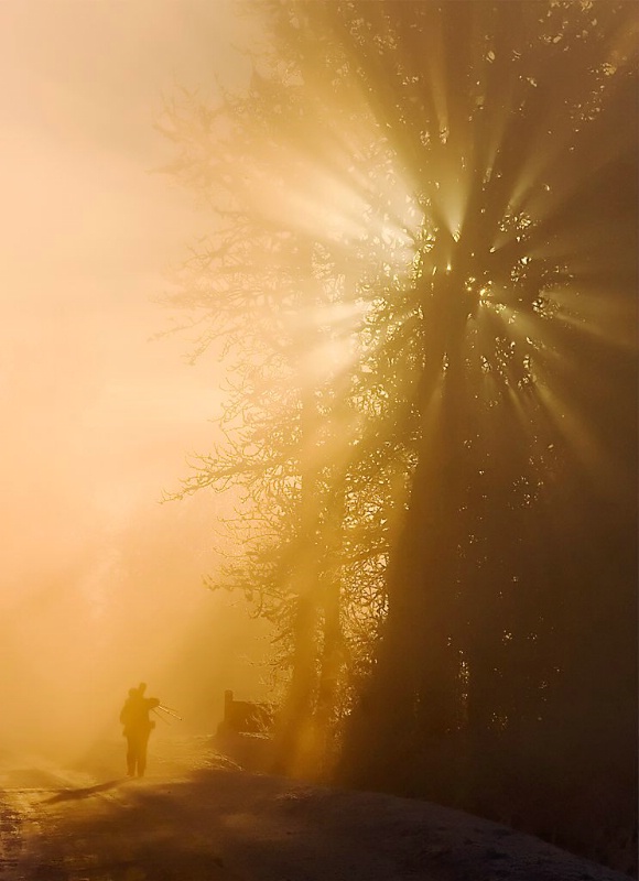 Photographer in the Sun