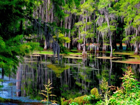 Bayou Desiard Monroe, Louisiana