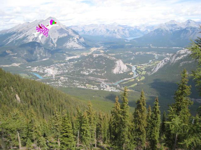 TEENA over the ROCKIES