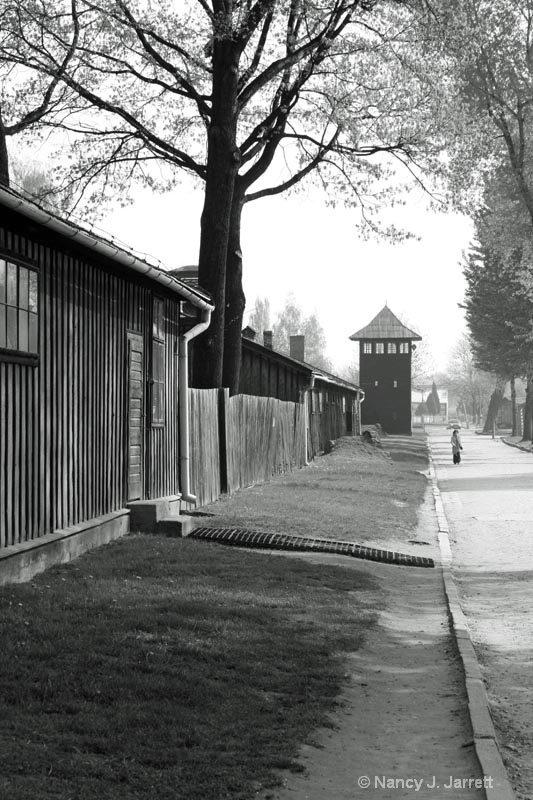 The Grounds of Auschwitz