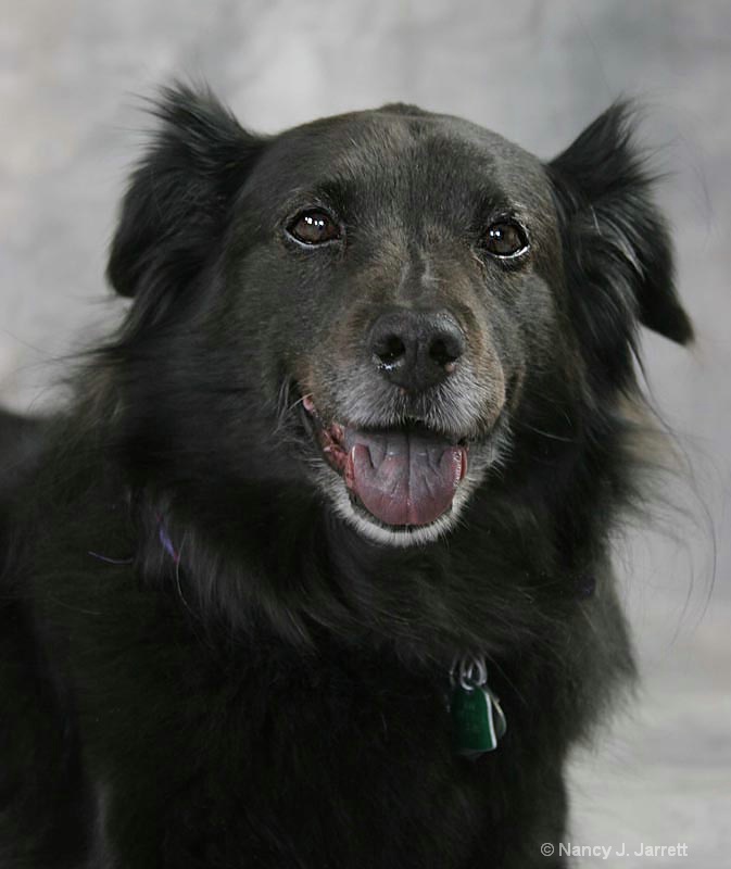 Mollie Smiling