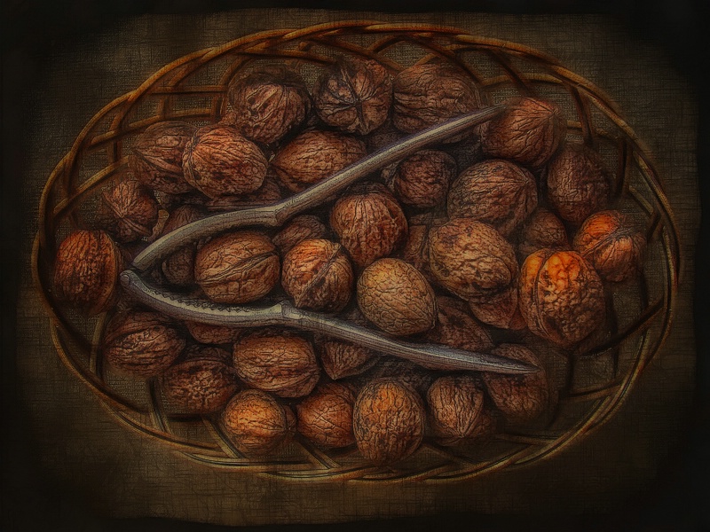 basket of walnuts