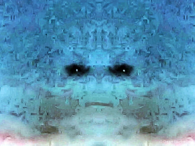 img13