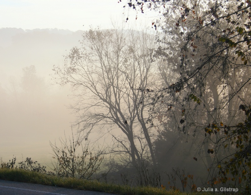 Layered Mist