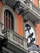 Avian Assembly