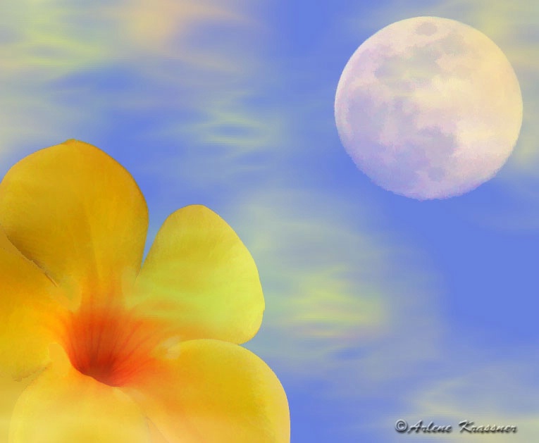 Flower and Moon Fantasy