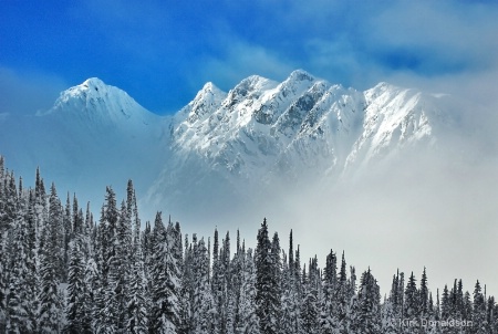 Selkirk Range