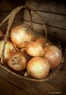 Basket of Onions