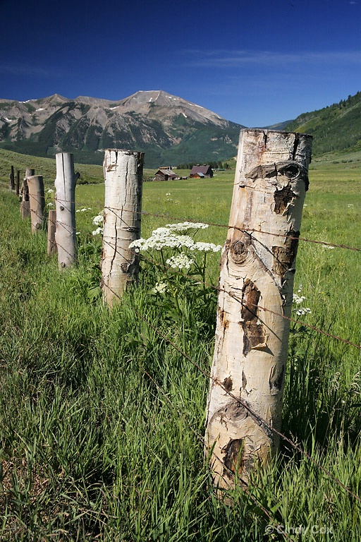 barn through fence posts 