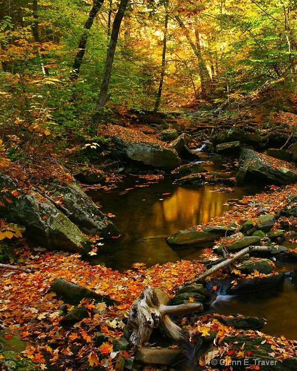 The Babbling Brook