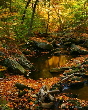 The Babbling Brook