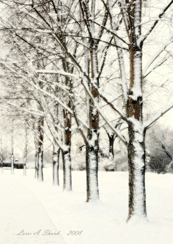 Tree People in the Snow