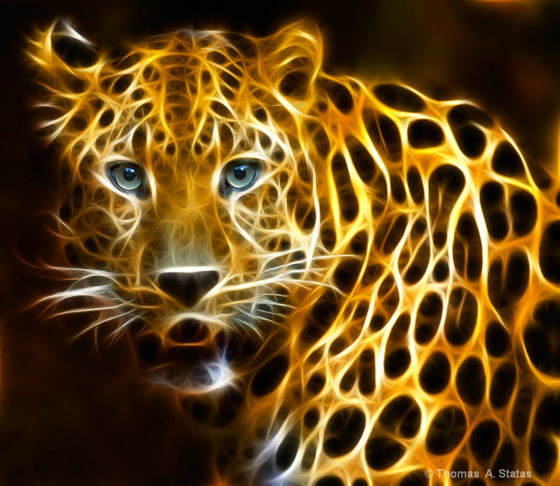 Amur Leopard