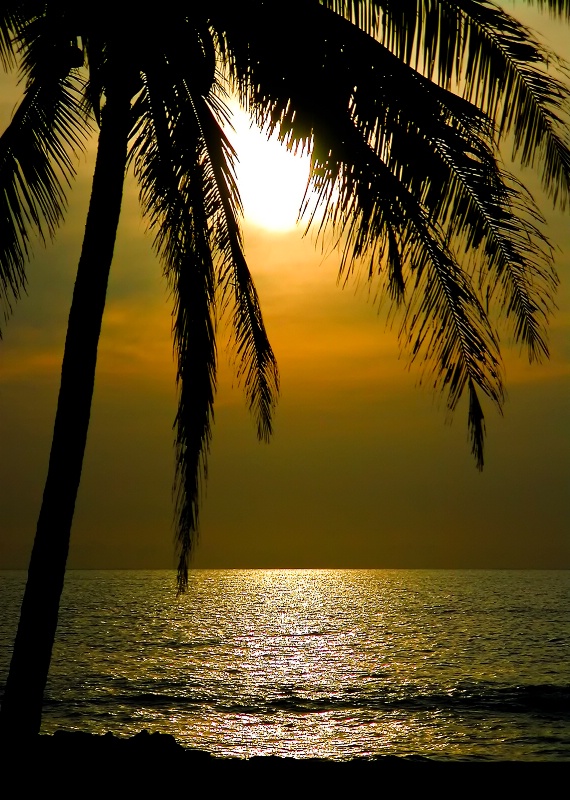 Winter Sunset Hawaii