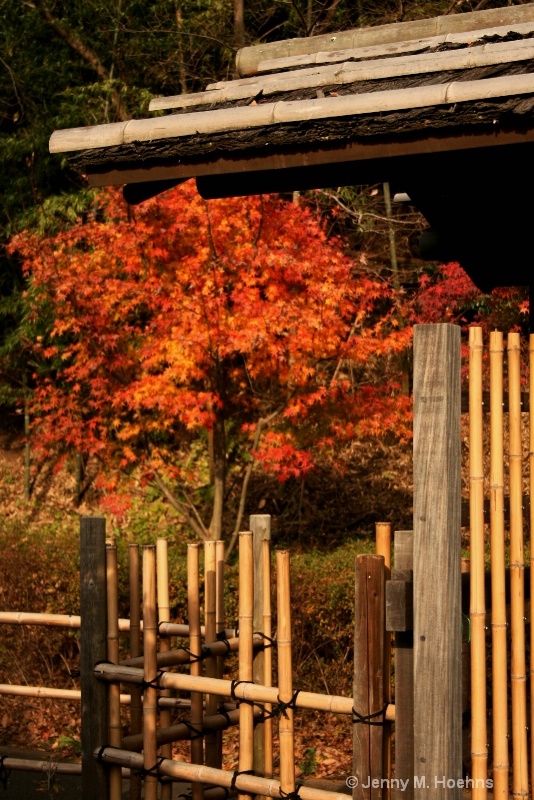 Japanese Fall