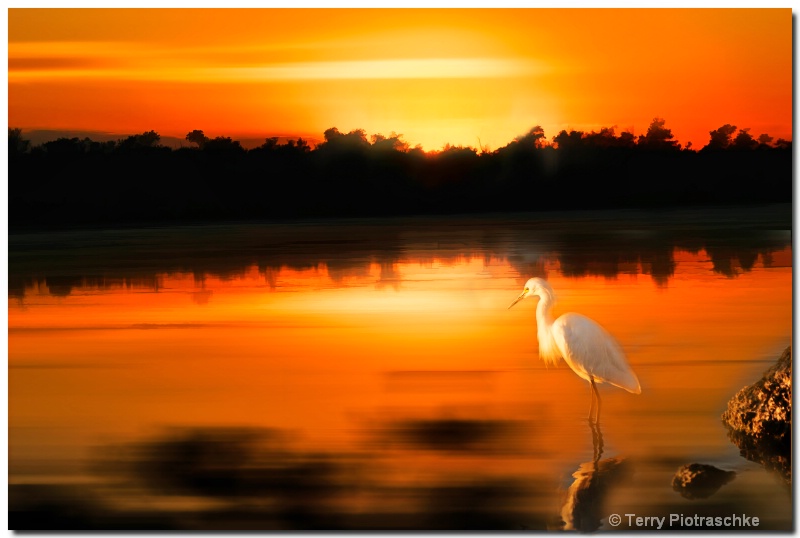 Florida Sunset - ID: 7590858 © Terry Piotraschke