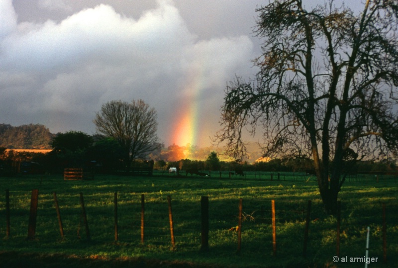 Rainbow in the Paddock - ID: 7591476 © al armiger