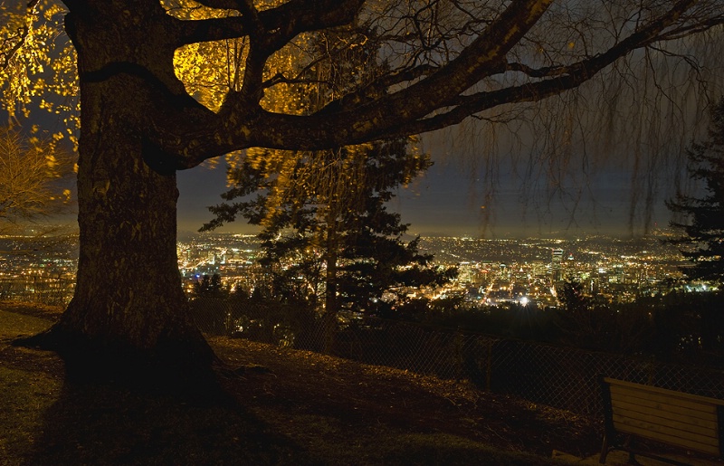 night view at pittock