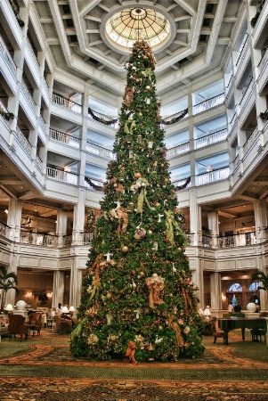 The tree at the Grand Floridian