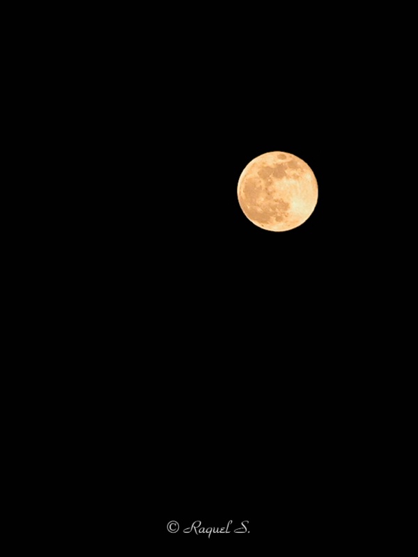 Golden Full Moon at Perigee