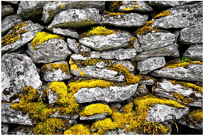 The Burren Ireland