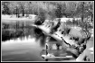 Winter in the Nor...