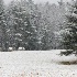 © Greg Lessard PhotoID# 7602933: dsc 0934-1