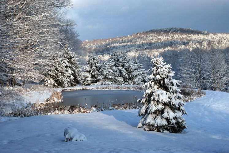 First Snow Of Winter - ID: 7607636 © William S. Briggs