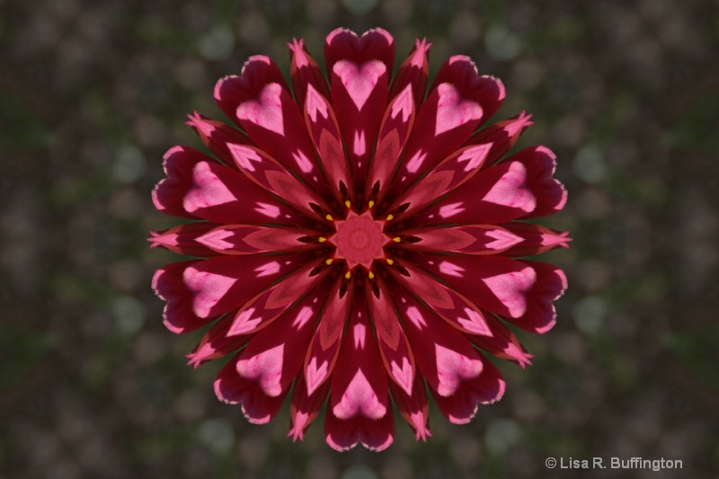 Zinnia Kaleidoscope - ID: 7608452 © Lisa R. Buffington