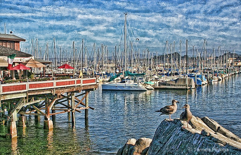 Fisherman's Wharf - Monterey