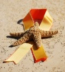 Starfish Decor
