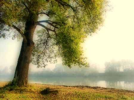 By the river