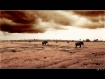 The Lost World in...