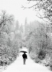 Winter Lane