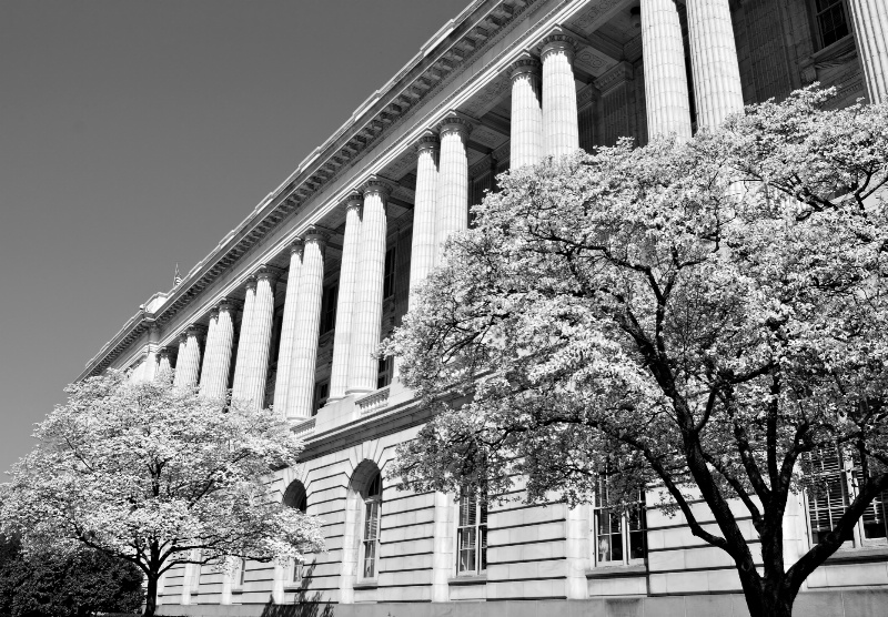 Blossoms and Columns - ID: 7628335 © Clyde Smith