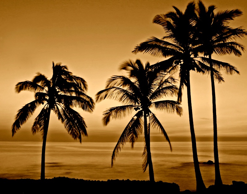"Vintage Hawaii"