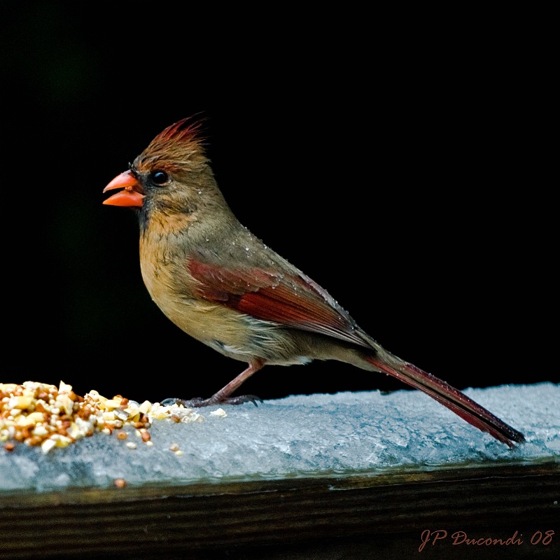 Breakfast Sunday Morning