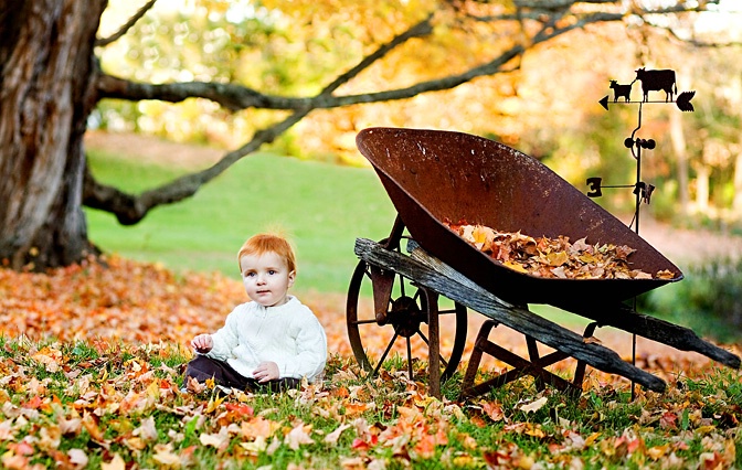 Under the Maple