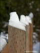 Winter Fence 