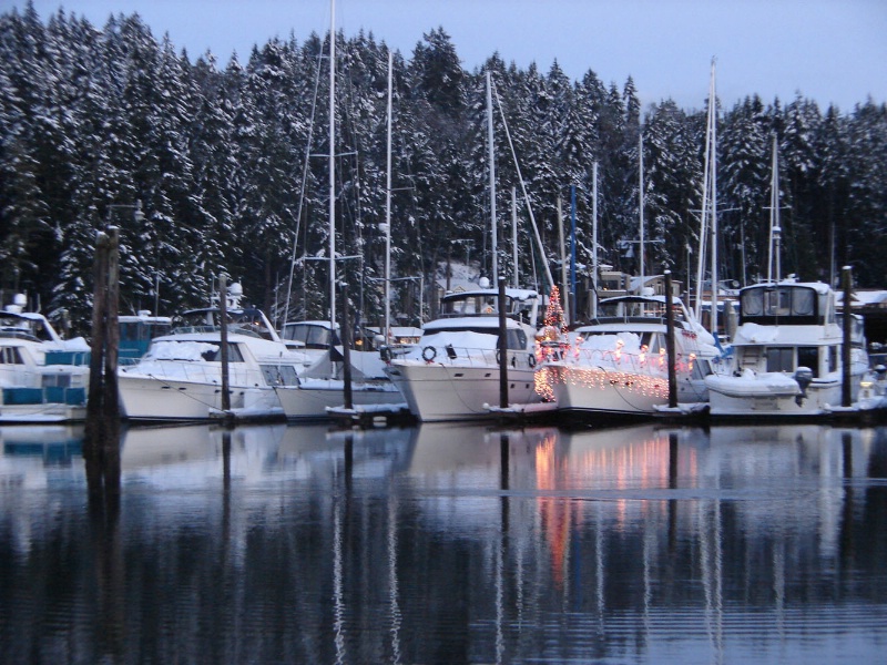 Christmas in the Harbor