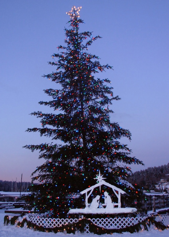 Christmas Tree at the Harbor