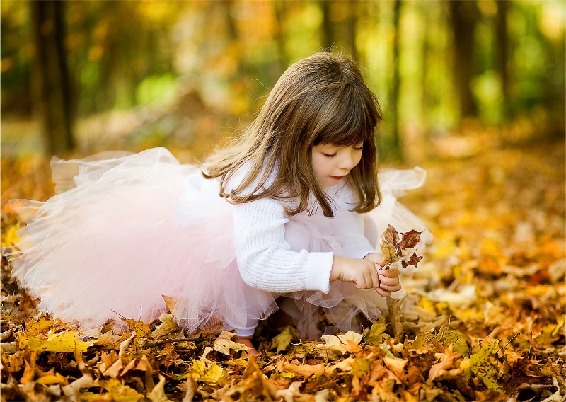 Leaf Fairy